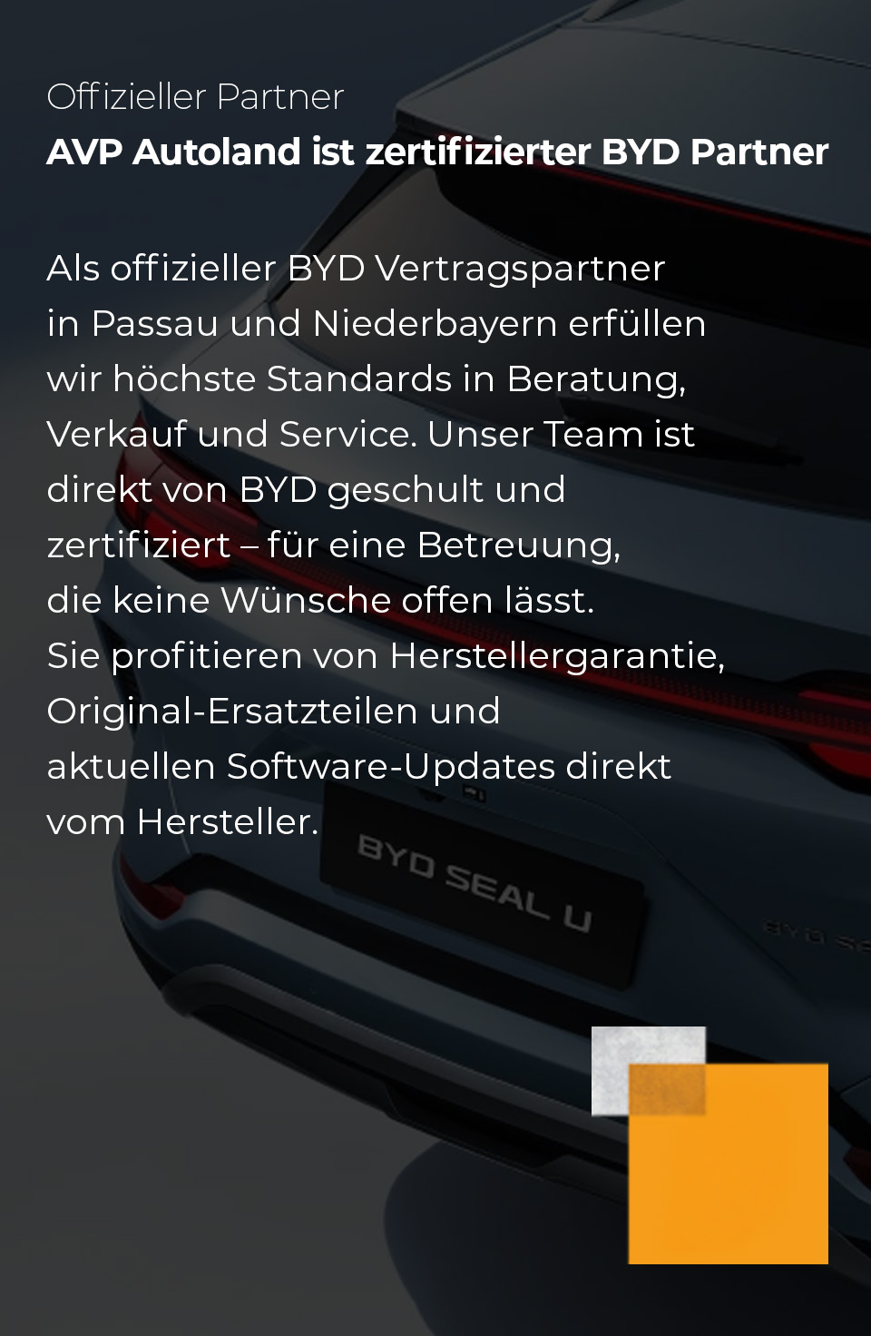 avp-offizieller Partner